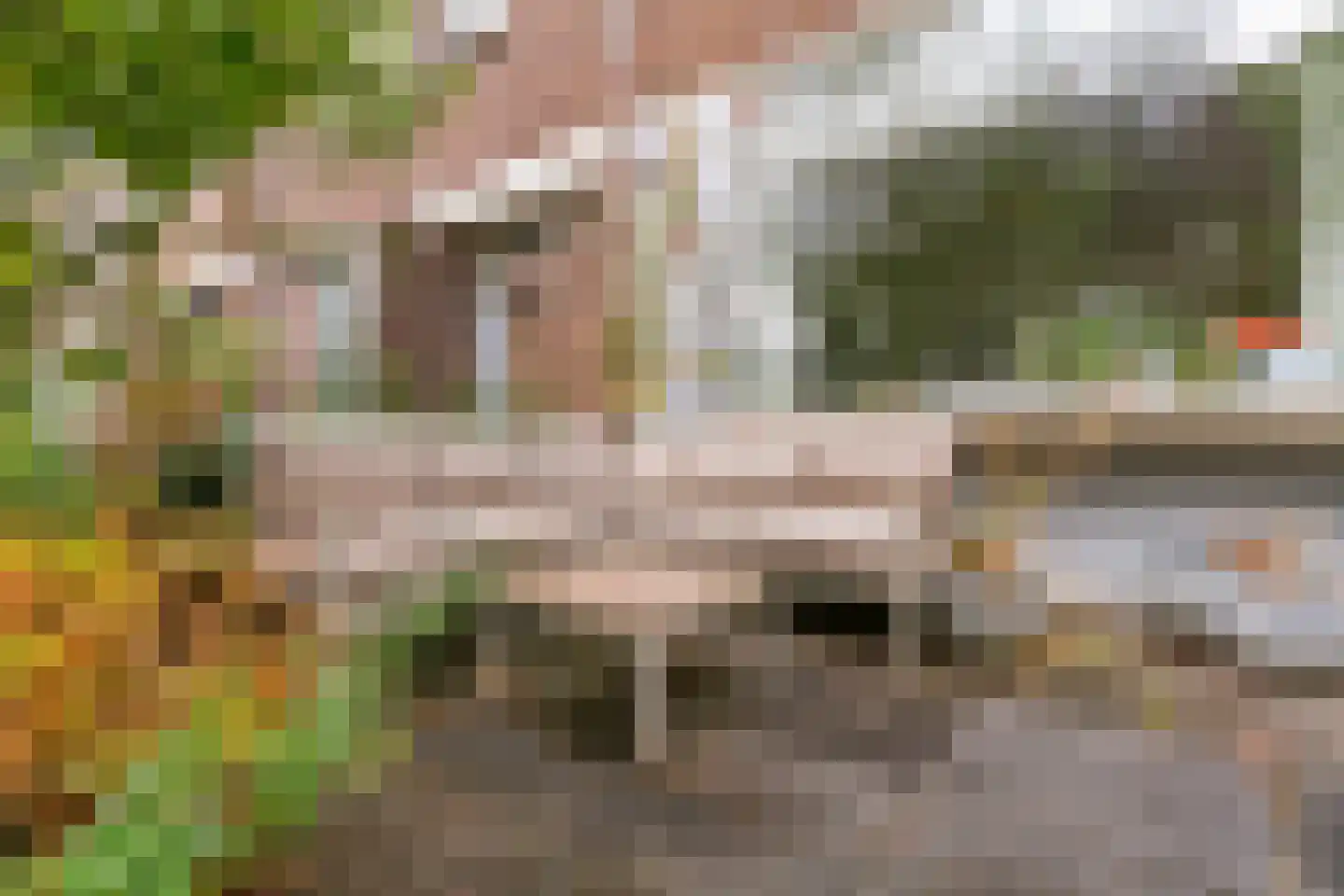 Heemraadlaan 22 Leiderdorp thumbnail 38