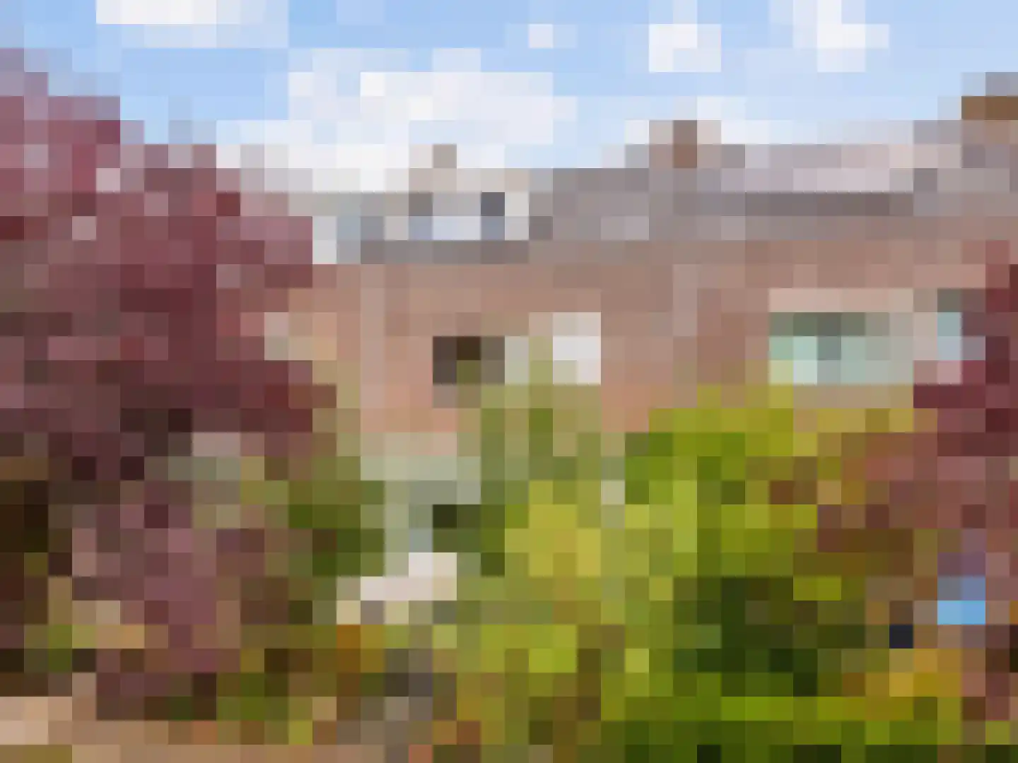 Heemraadlaan 22 Leiderdorp thumbnail 39