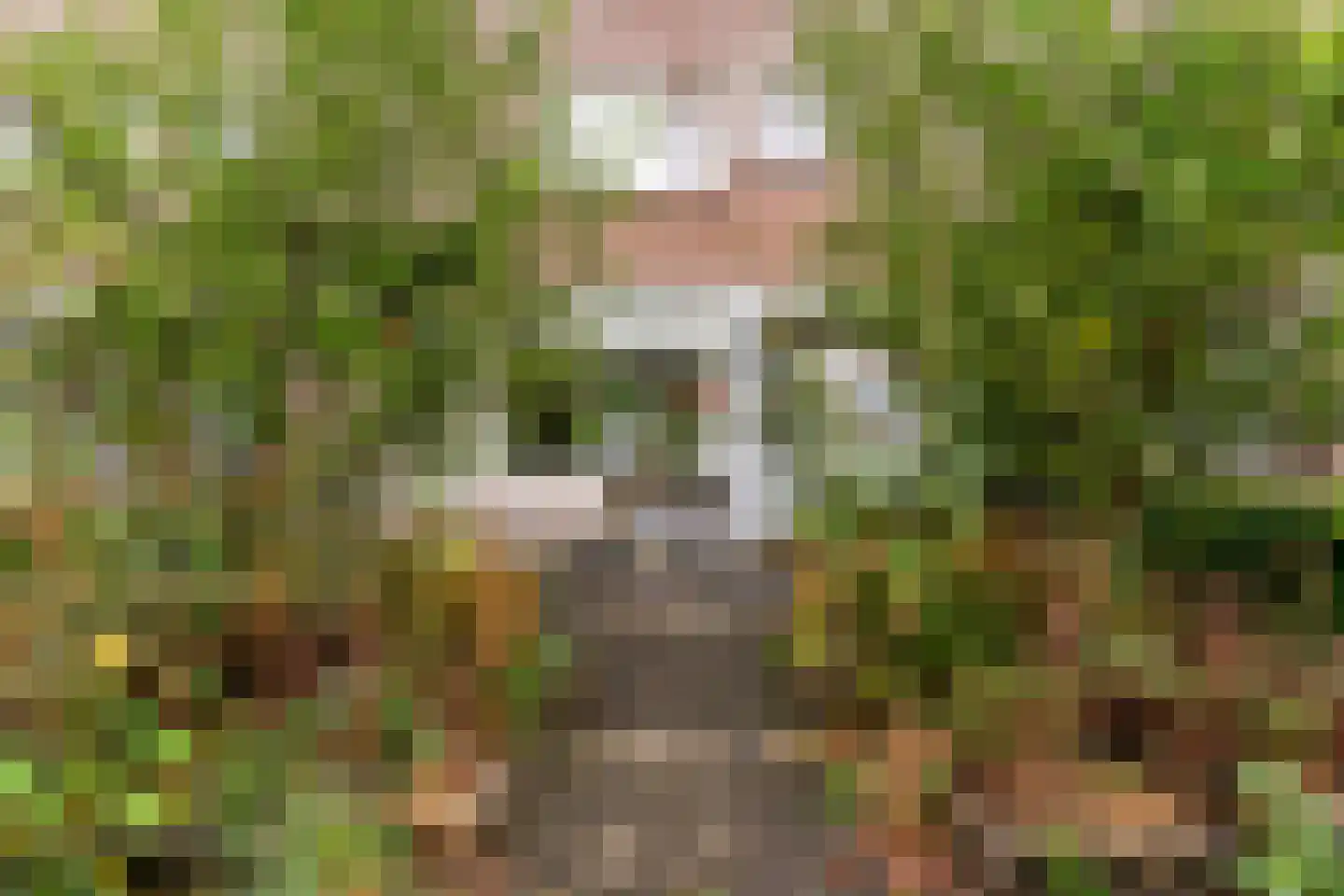 Heemraadlaan 22 Leiderdorp thumbnail 4