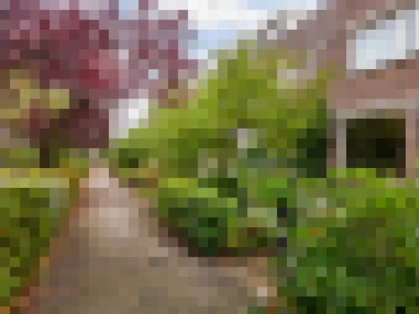 Heemraadlaan 22 Leiderdorp thumbnail 40