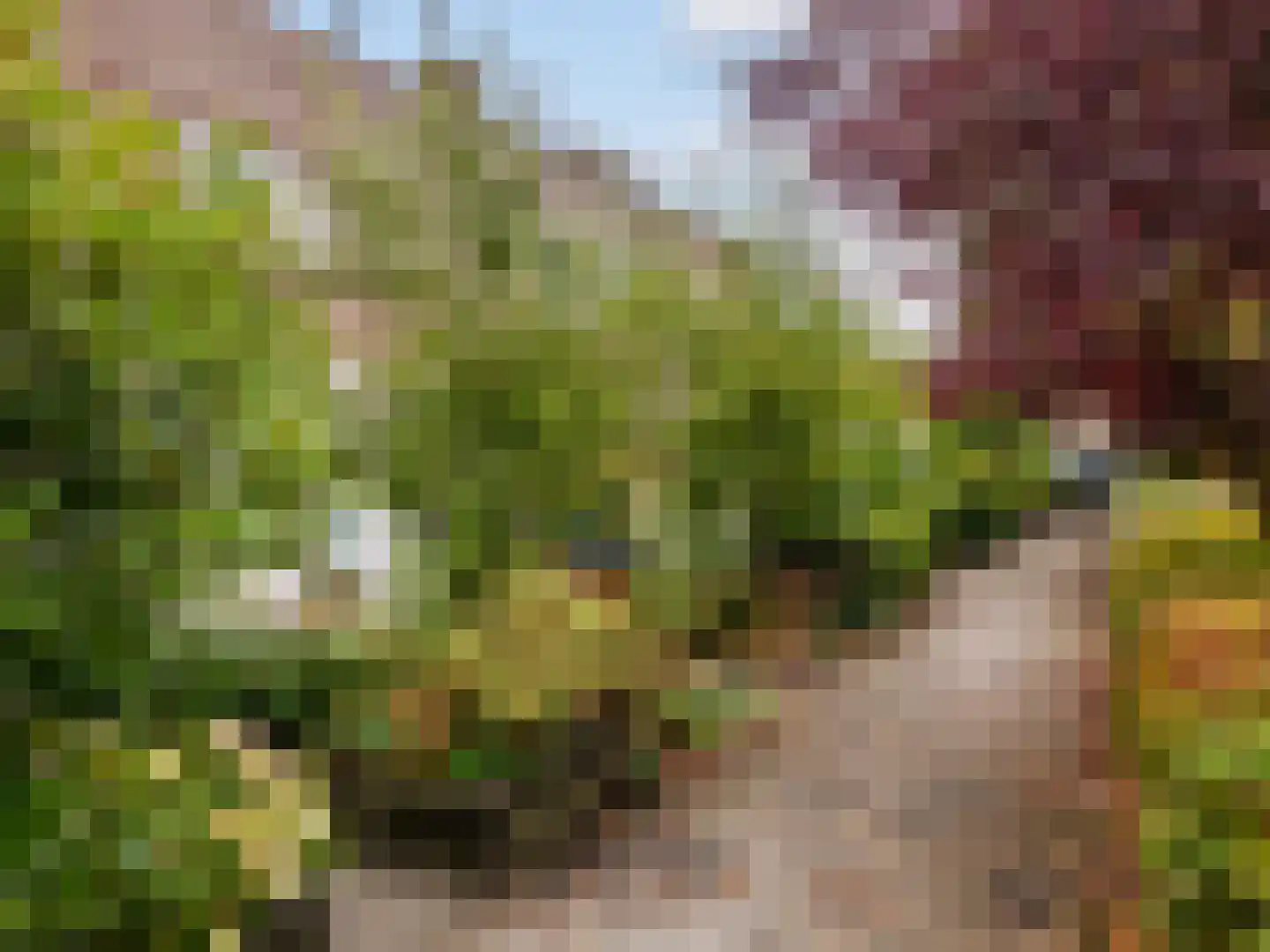 Heemraadlaan 22 Leiderdorp thumbnail 41