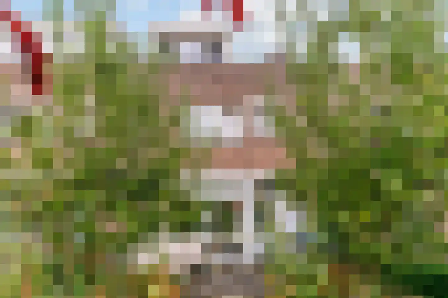 Heemraadlaan 22 Leiderdorp thumbnail 42