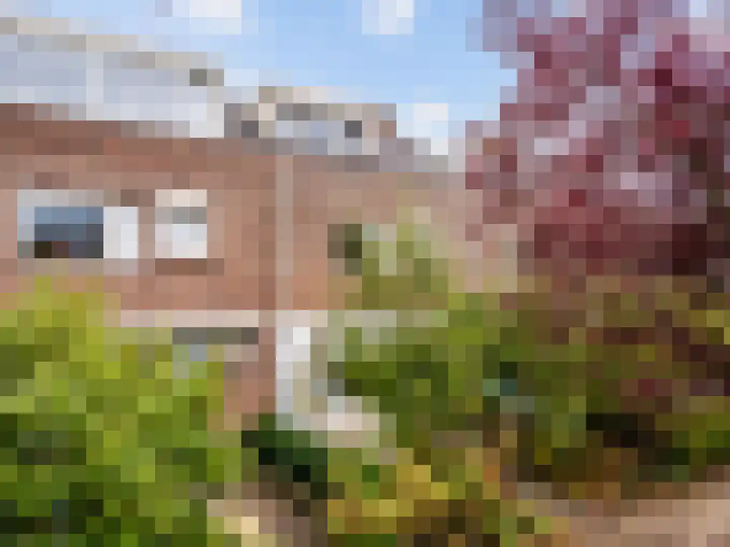 Heemraadlaan 22 Leiderdorp thumbnail 43