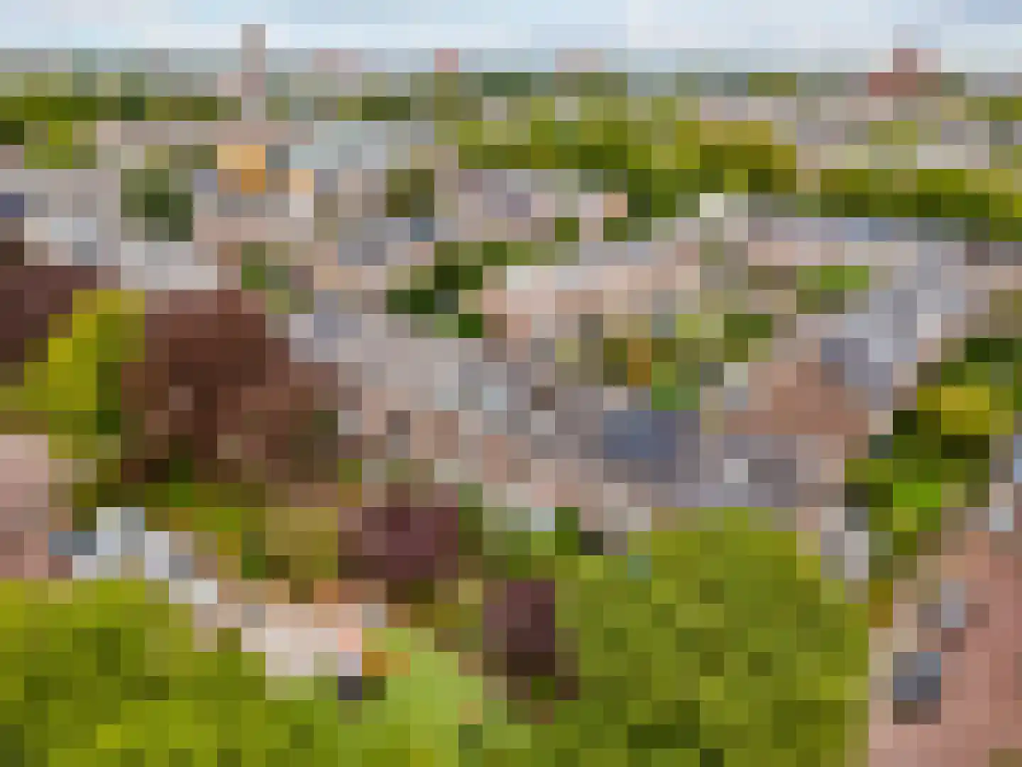 Heemraadlaan 22 Leiderdorp thumbnail 45
