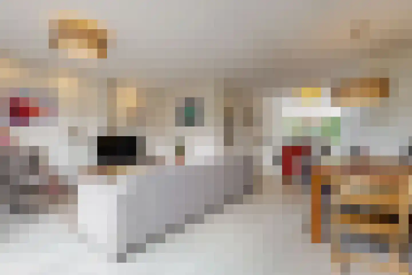Heemraadlaan 22 Leiderdorp thumbnail 6