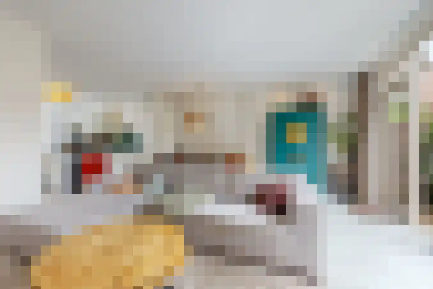 Heemraadlaan 22 Leiderdorp thumbnail 7