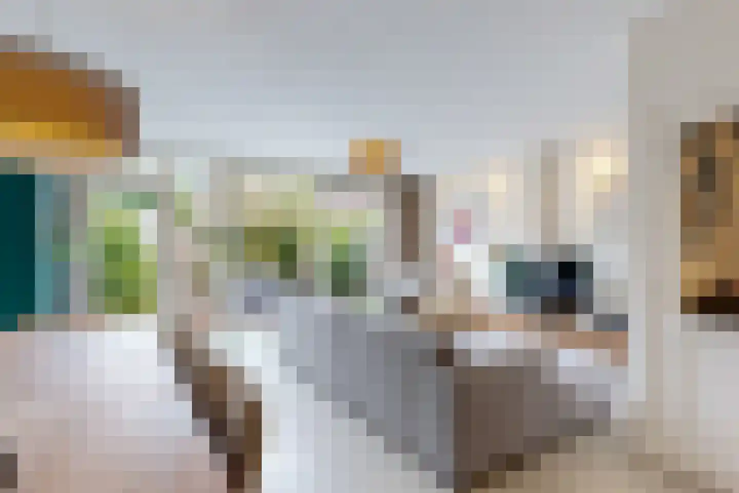Heemraadlaan 22 Leiderdorp thumbnail 9