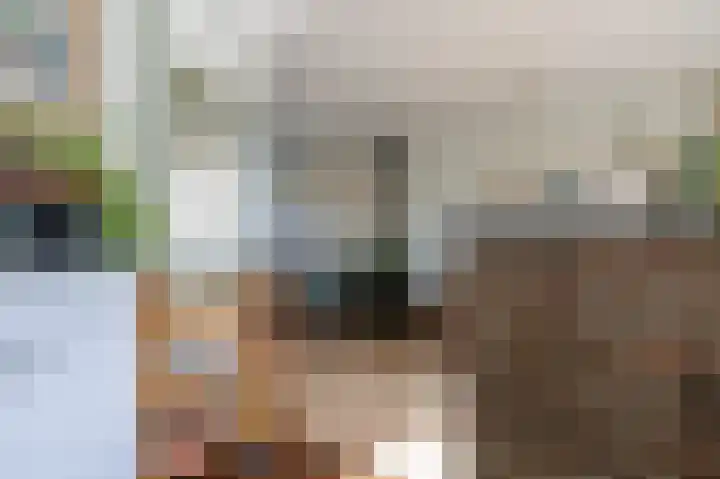 Heemraadlaan 29 Leiderdorp thumbnail 10