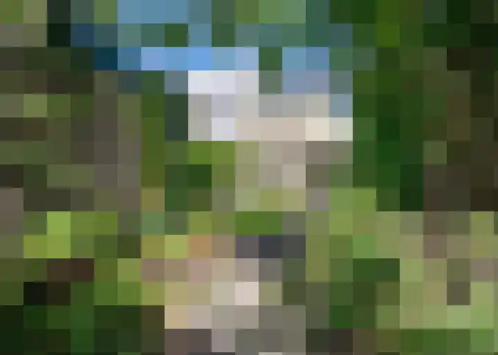 Heemraadlaan 29 Leiderdorp thumbnail 11