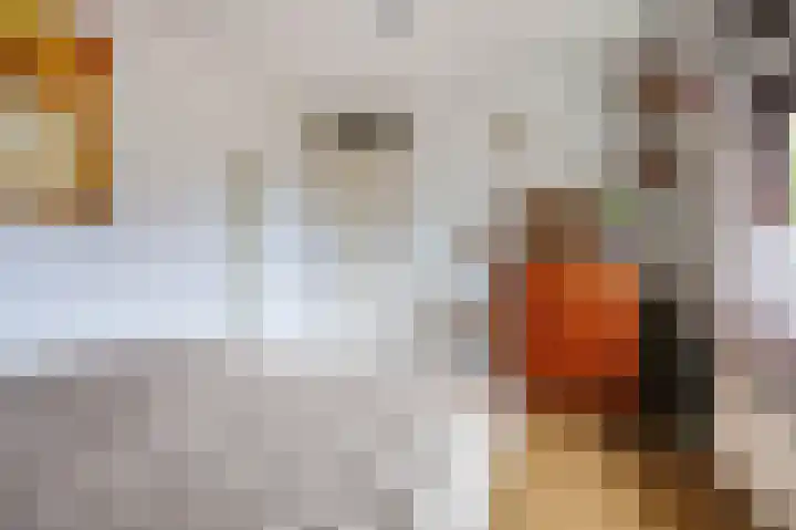 Heemraadlaan 29 Leiderdorp thumbnail 19