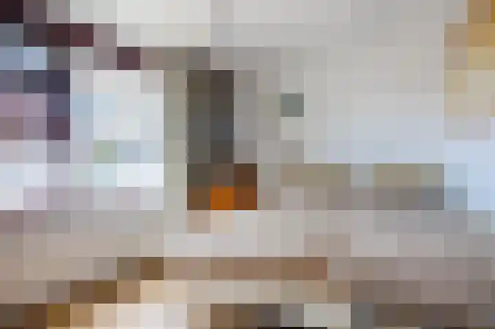 Heemraadlaan 29 Leiderdorp thumbnail 20