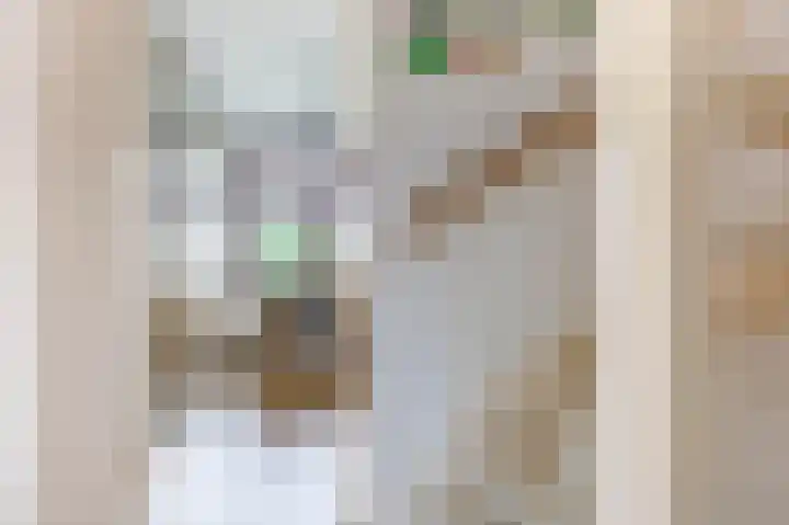 Heemraadlaan 29 Leiderdorp thumbnail 21