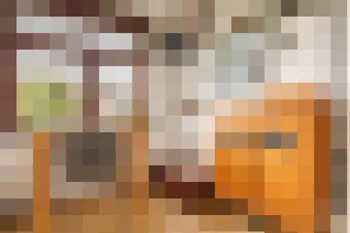 Heemraadlaan 29 Leiderdorp thumbnail 22
