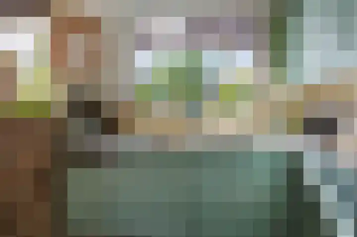 Heemraadlaan 29 Leiderdorp thumbnail 9