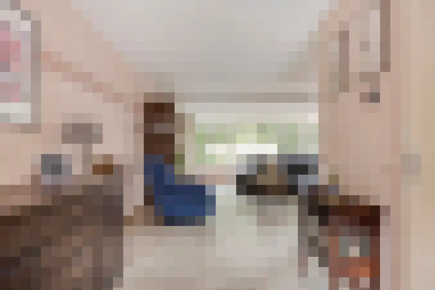 Heemraadlaan 59 Zetten thumbnail 12