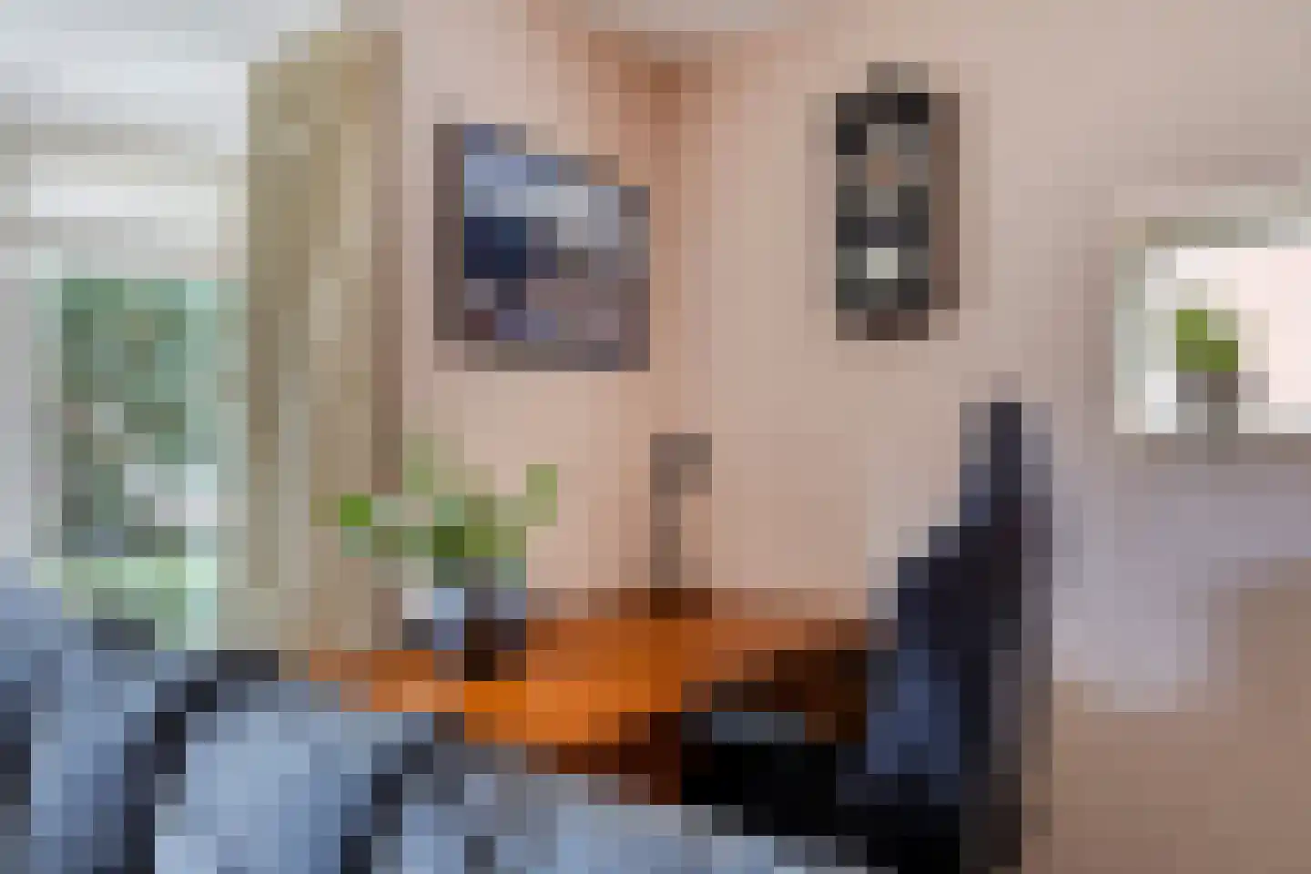 Heemraadlaan 59 Zetten thumbnail 15