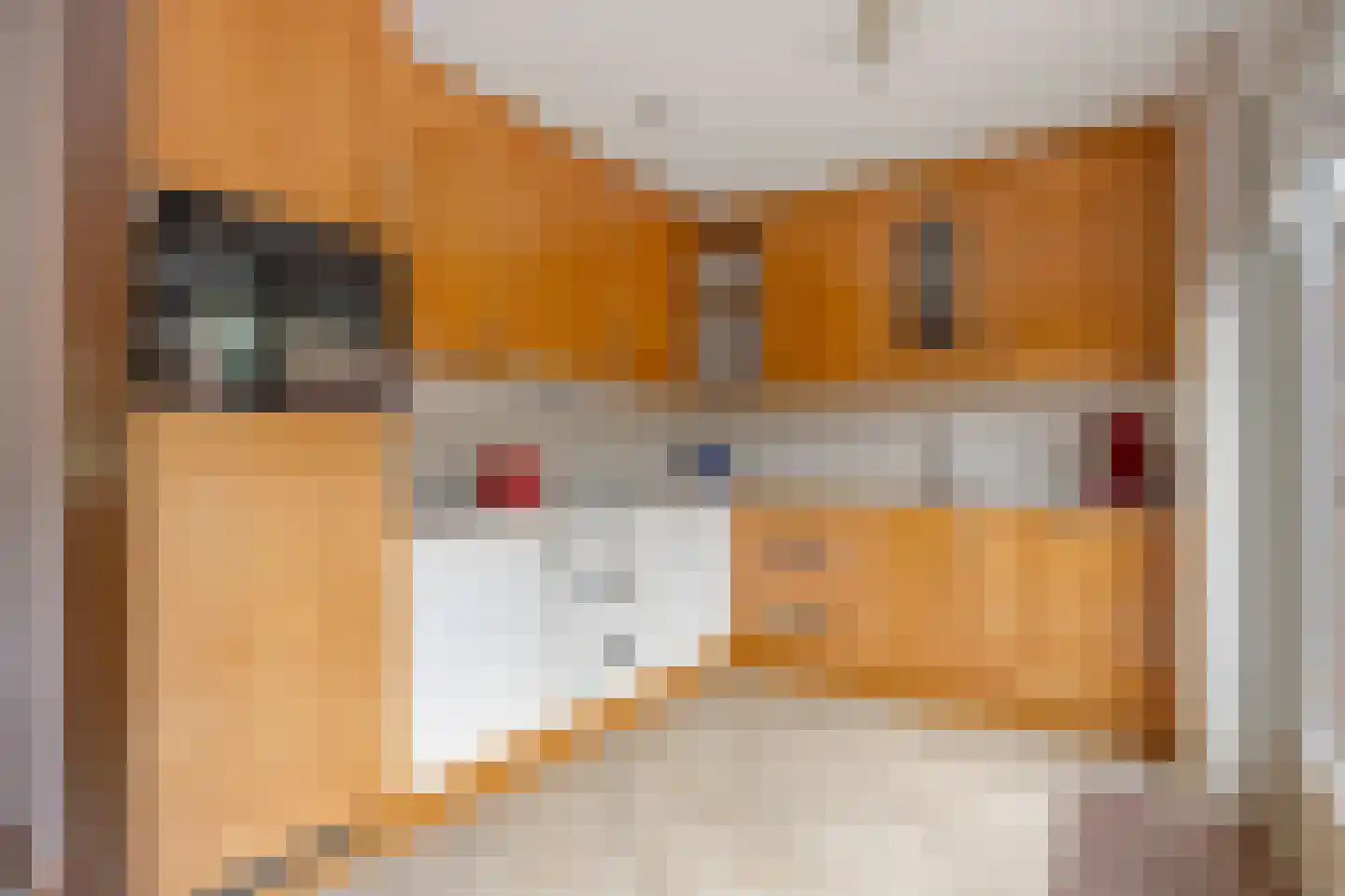 Heemraadlaan 59 Zetten thumbnail 20