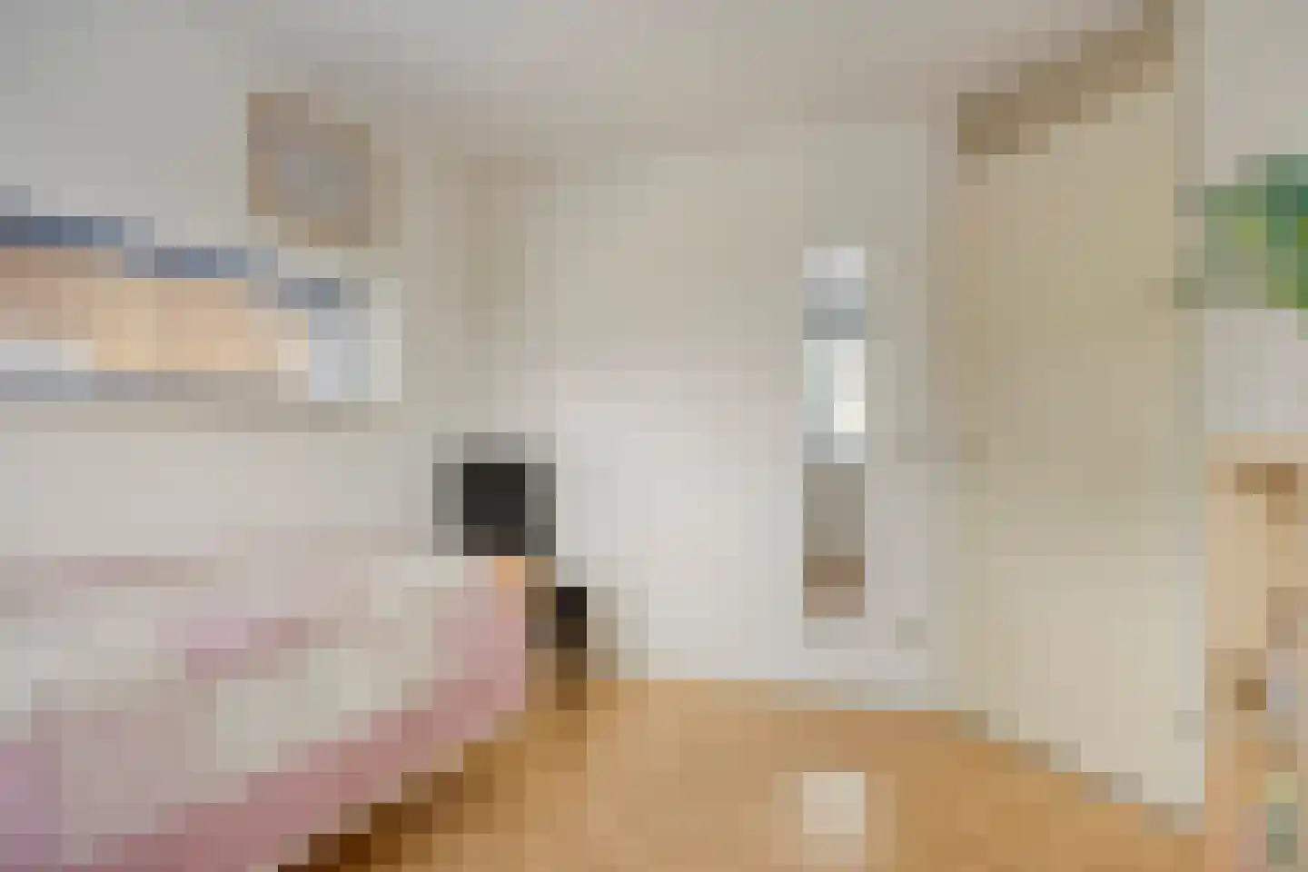Heemraadlaan 59 Zetten thumbnail 28
