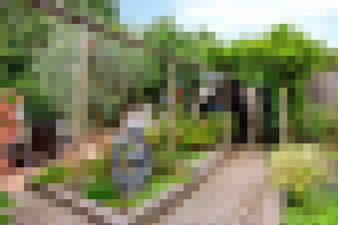 Heemraadlaan 59 Zetten thumbnail 46