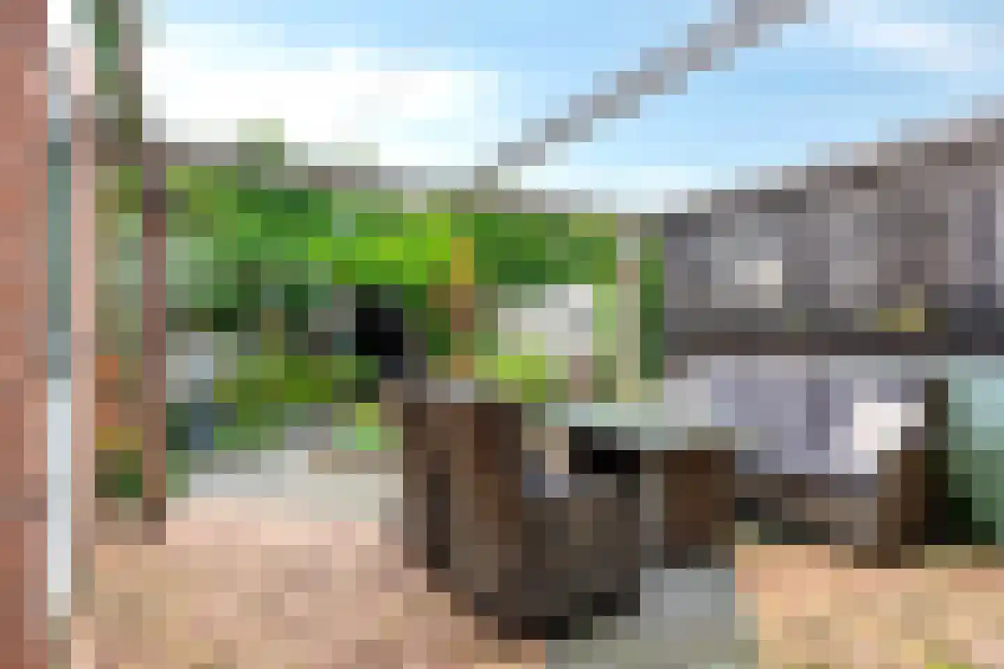 Heemraadlaan 59 Zetten thumbnail 5