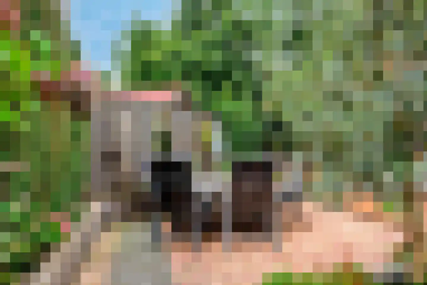 Heemraadlaan 59 Zetten thumbnail 51