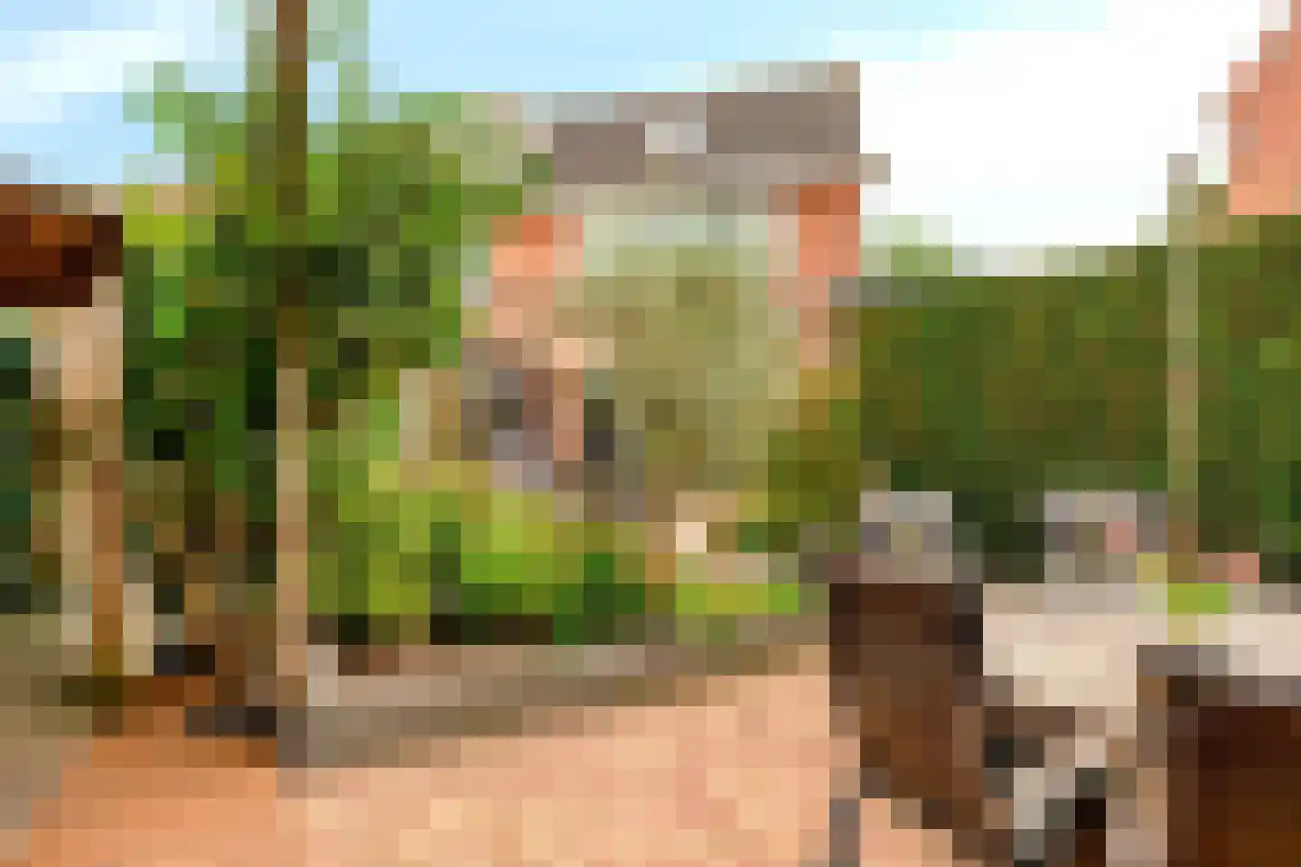 Heemraadlaan 59 Zetten thumbnail 52