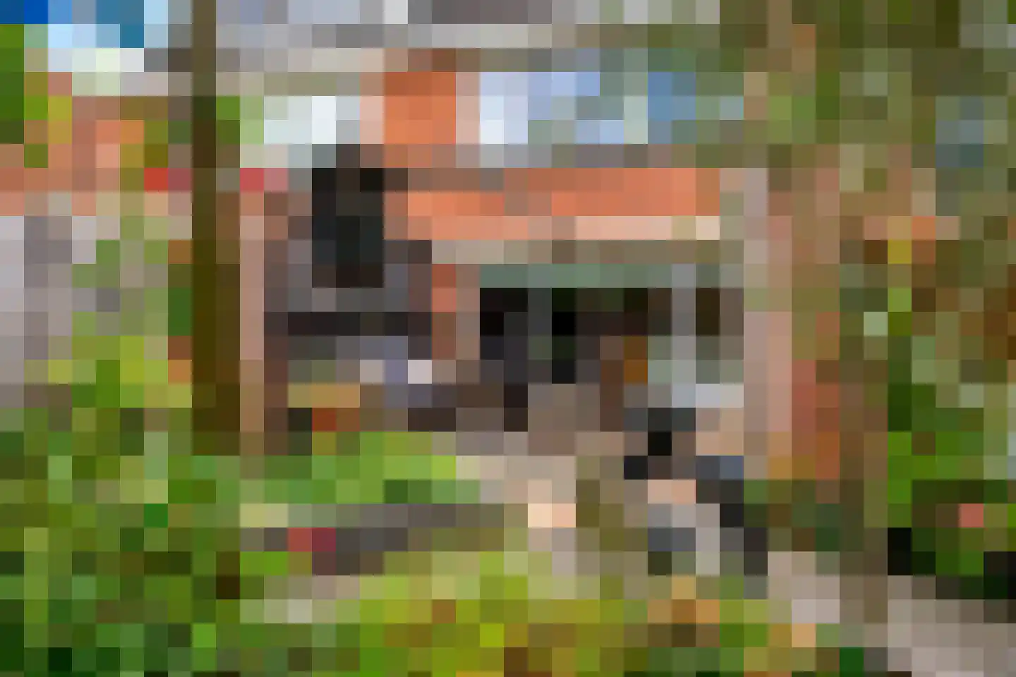 Heemraadlaan 59 Zetten thumbnail 53