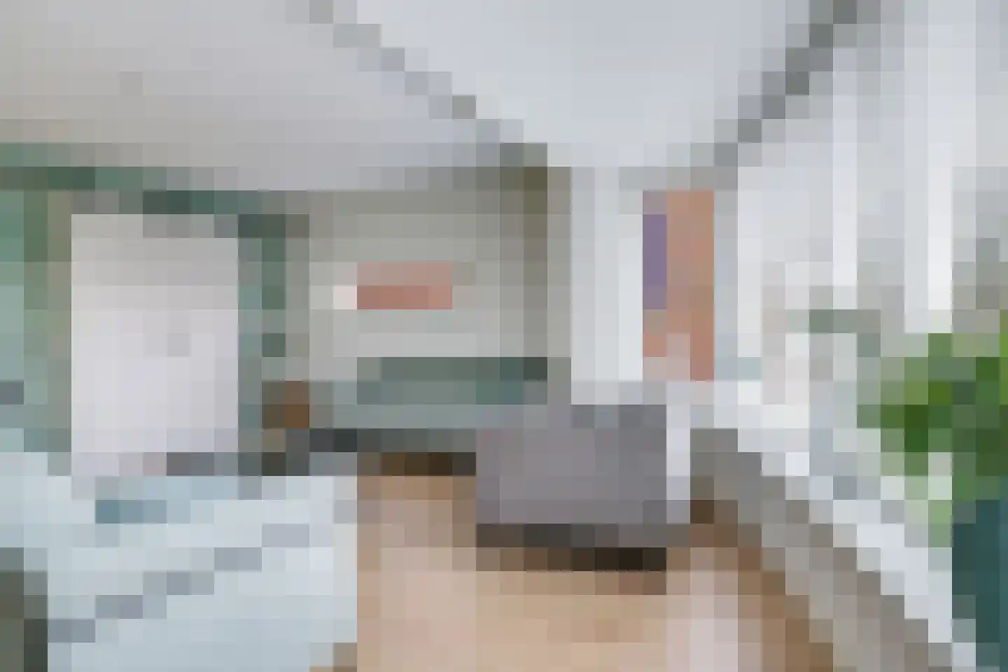 Heemraadlaan 61 Zetten thumbnail 21