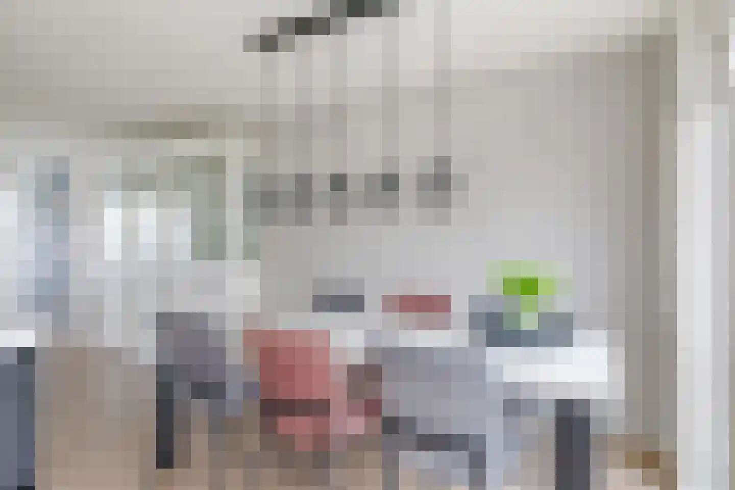 Heemraadlaan 61 Zetten thumbnail 36