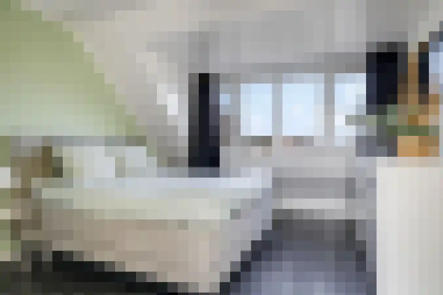 Heemraadlaan 61 Zetten thumbnail 6