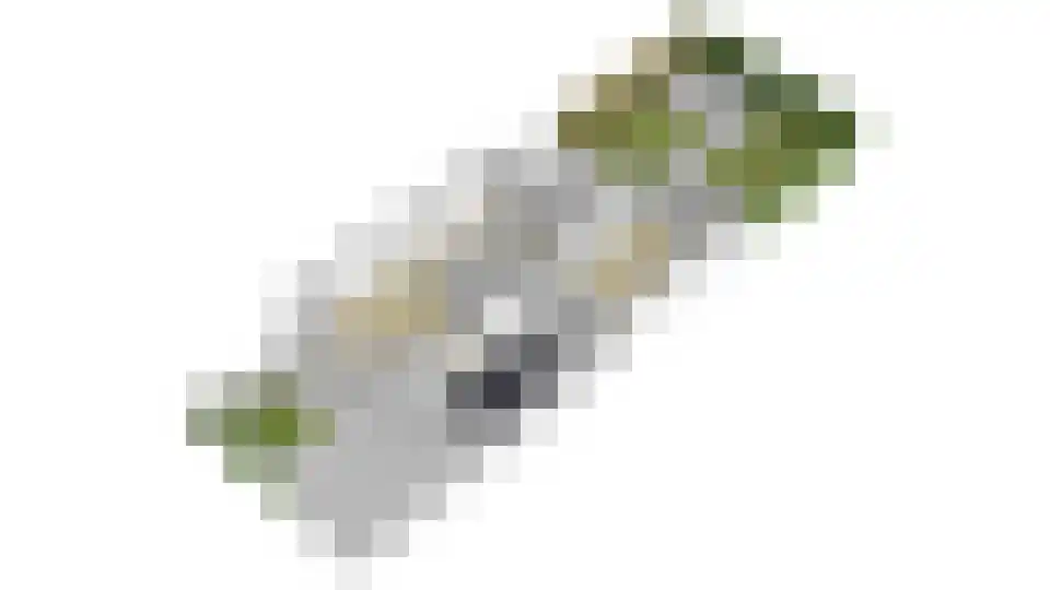 Heemraadlaan 61 Zetten thumbnail 62