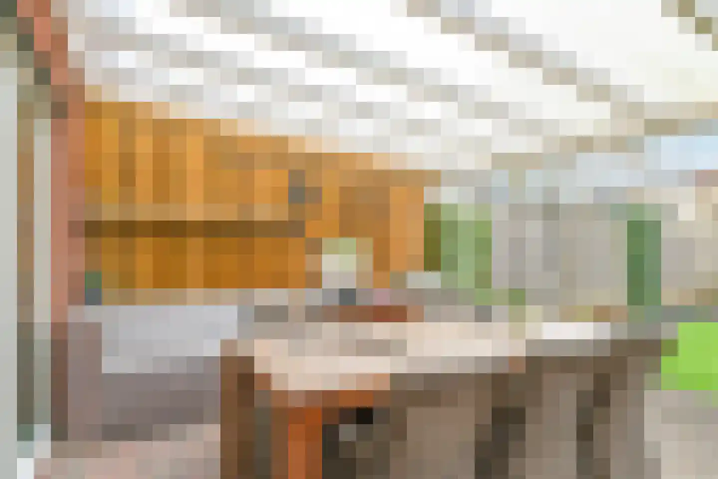 Heemraadlaan 61 Zetten thumbnail 64