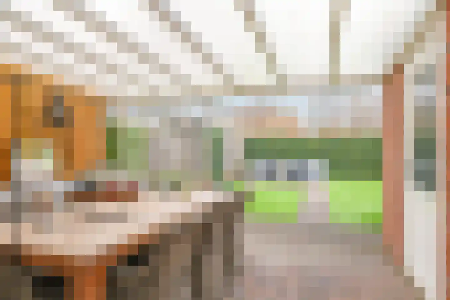 Heemraadlaan 61 Zetten thumbnail 9
