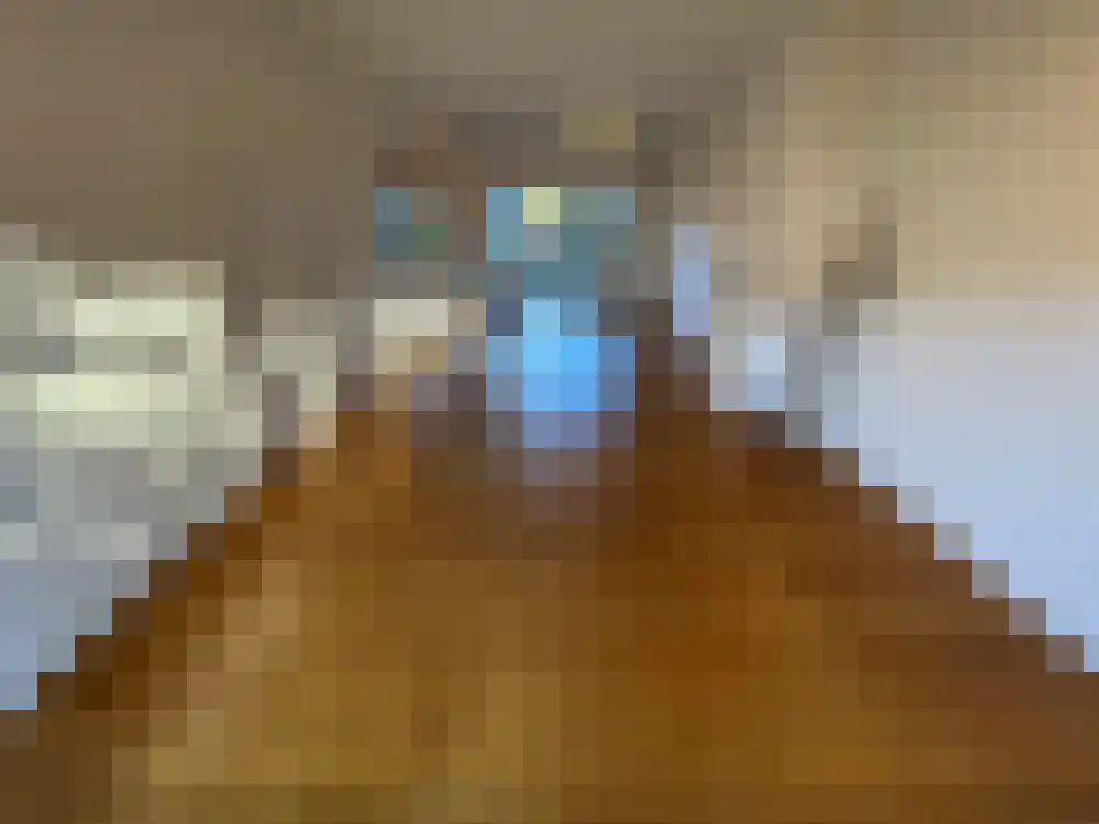 Heemraadschapslaan 12 Amstelveen thumbnail 11