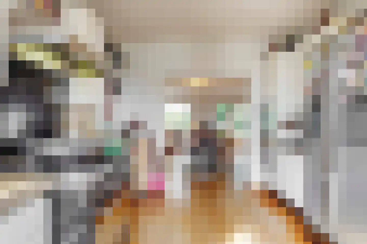 Heemraadschapslaan 34 Amstelveen thumbnail 30
