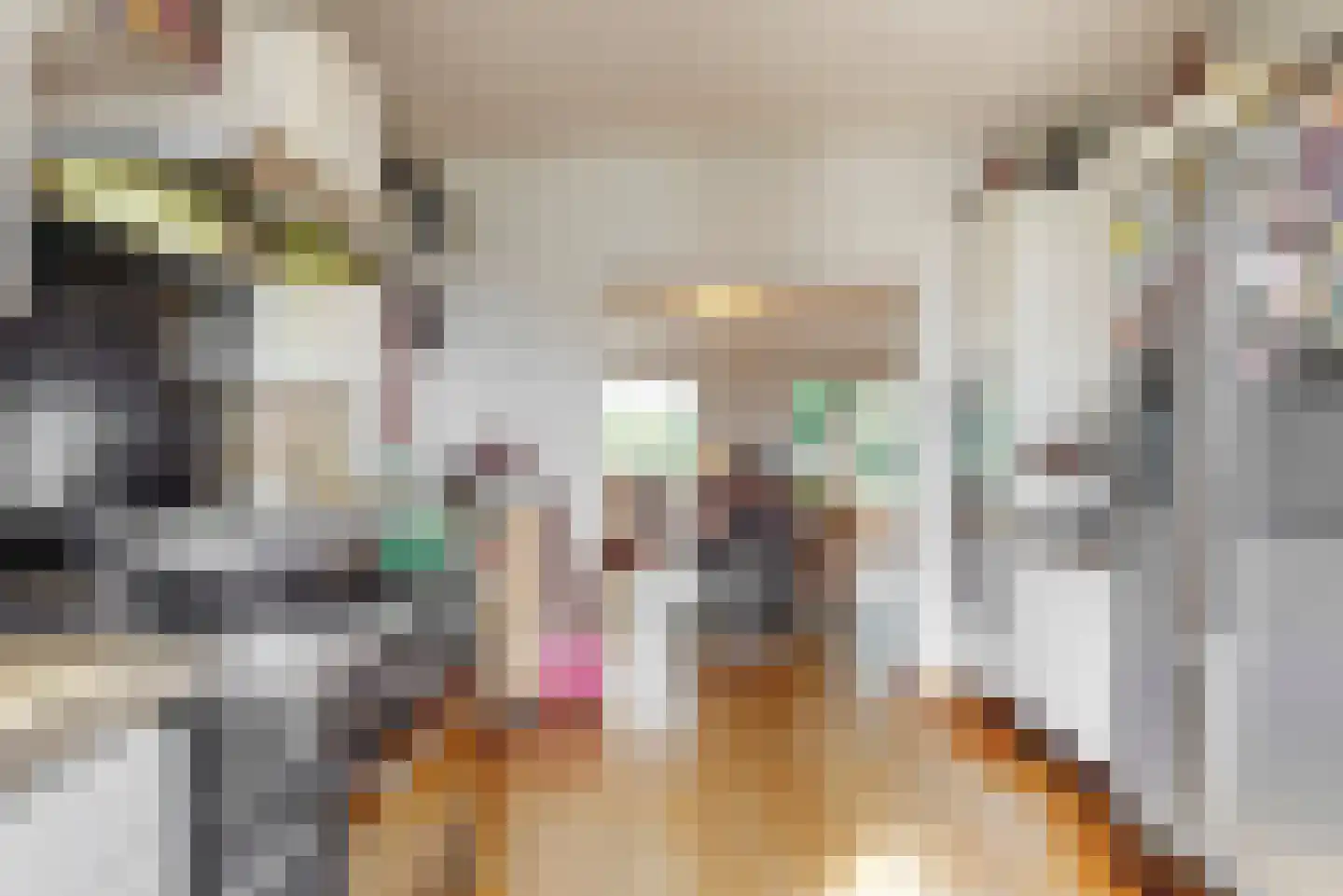 Heemraadschapslaan 34 Amstelveen thumbnail 31