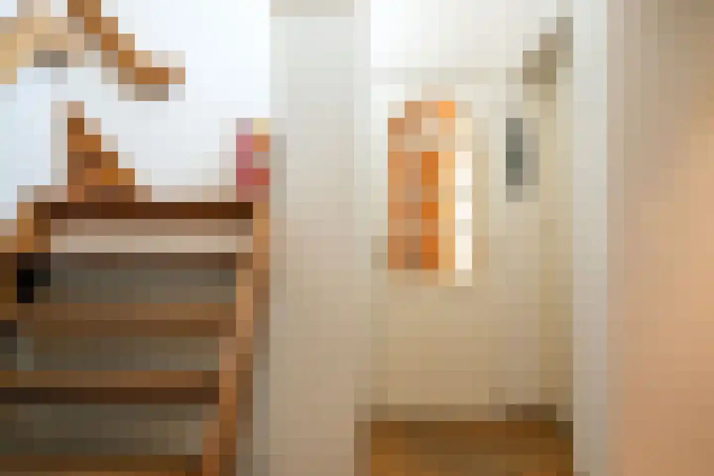 Heemraadschapslaan 34 Amstelveen thumbnail 36