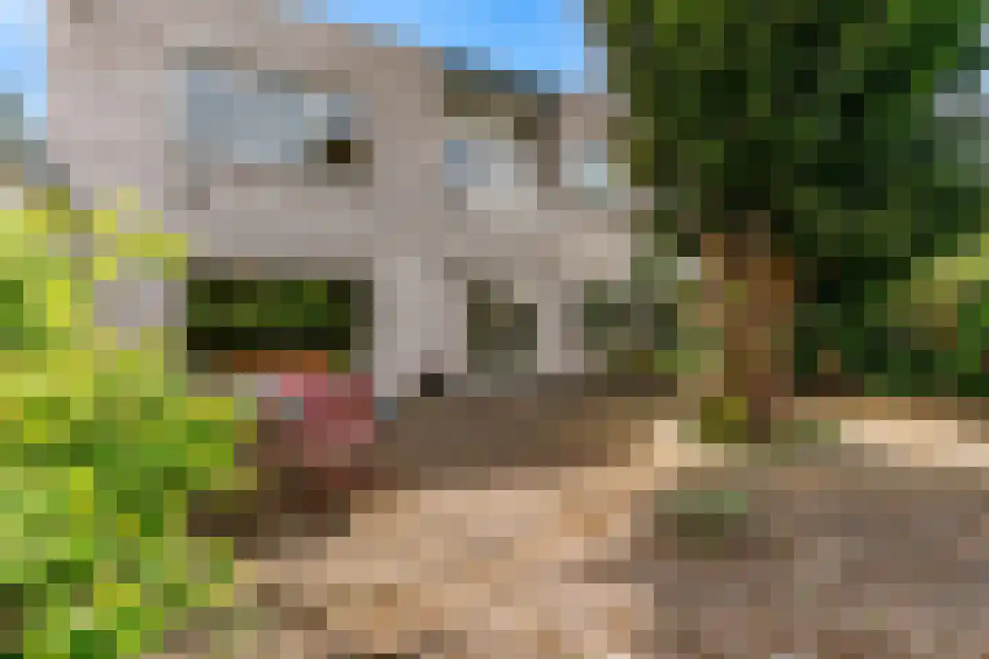 Heemraadschapslaan 34 Amstelveen thumbnail 61