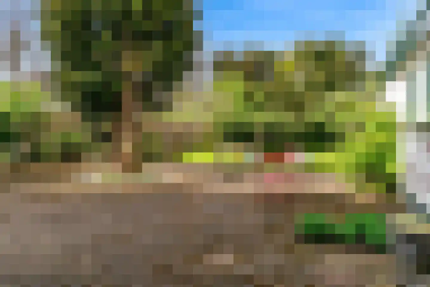 Heemraadschapslaan 34 Amstelveen thumbnail 7