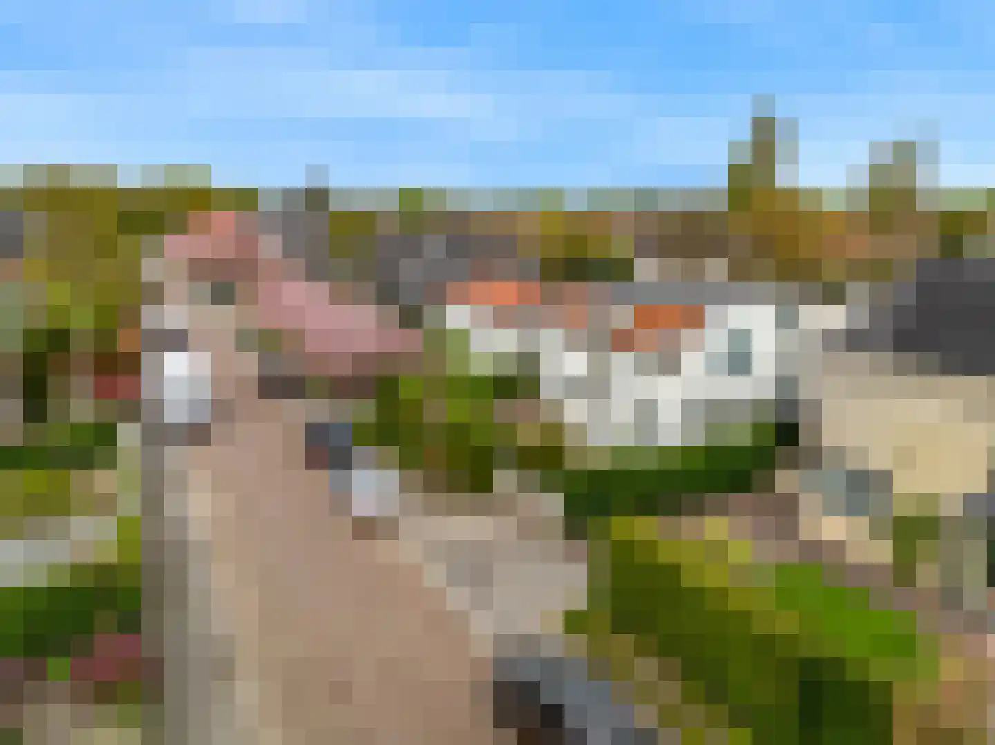 Heemraadschapslaan 34 Amstelveen thumbnail 9
