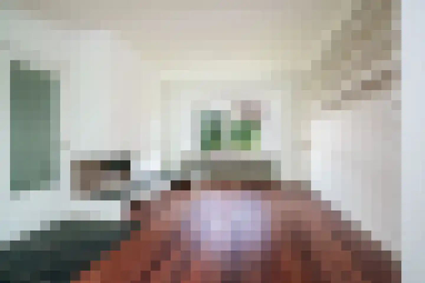 Heemraadschapslaan 45 Amstelveen thumbnail 13