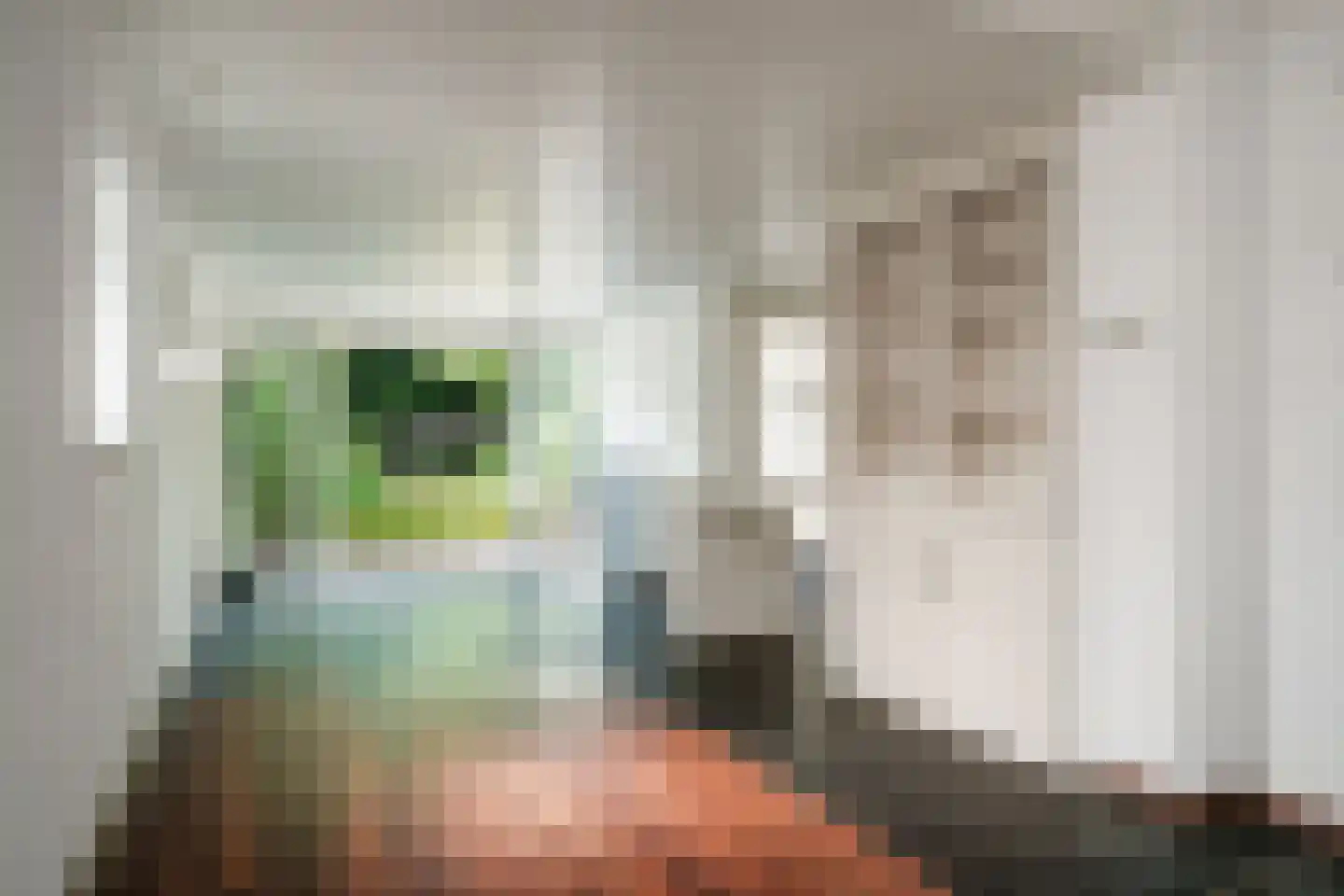 Heemraadschapslaan 45 Amstelveen thumbnail 15