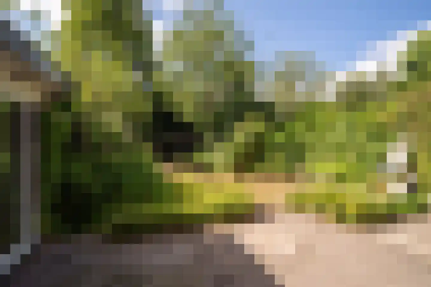 Heemraadschapslaan 45 Amstelveen thumbnail 20