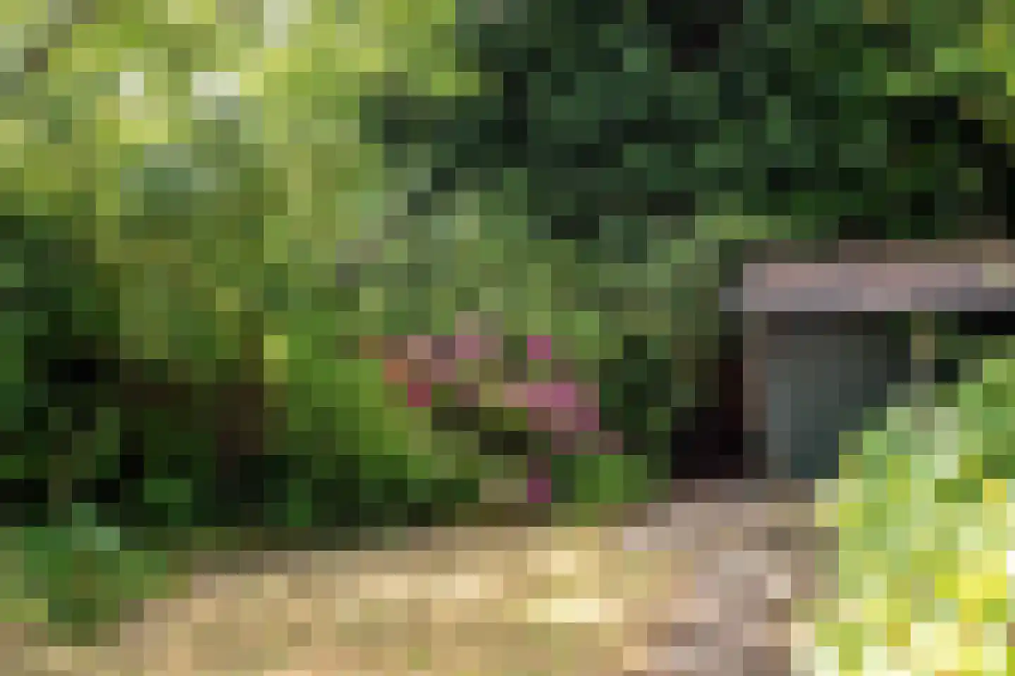 Heemraadschapslaan 45 Amstelveen thumbnail 21