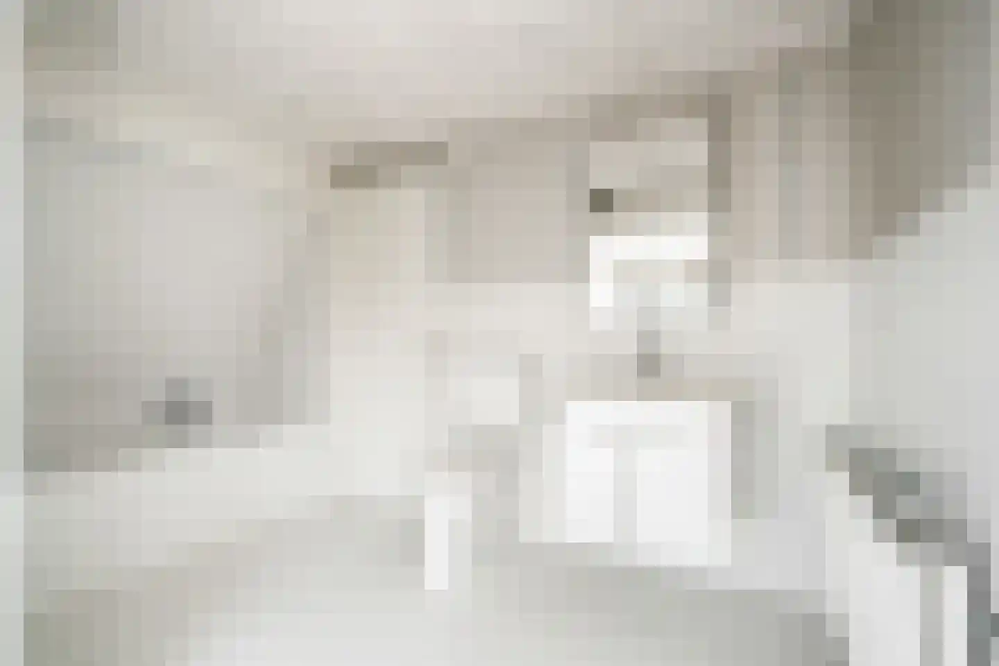 Heemraadschapslaan 45 Amstelveen thumbnail 33