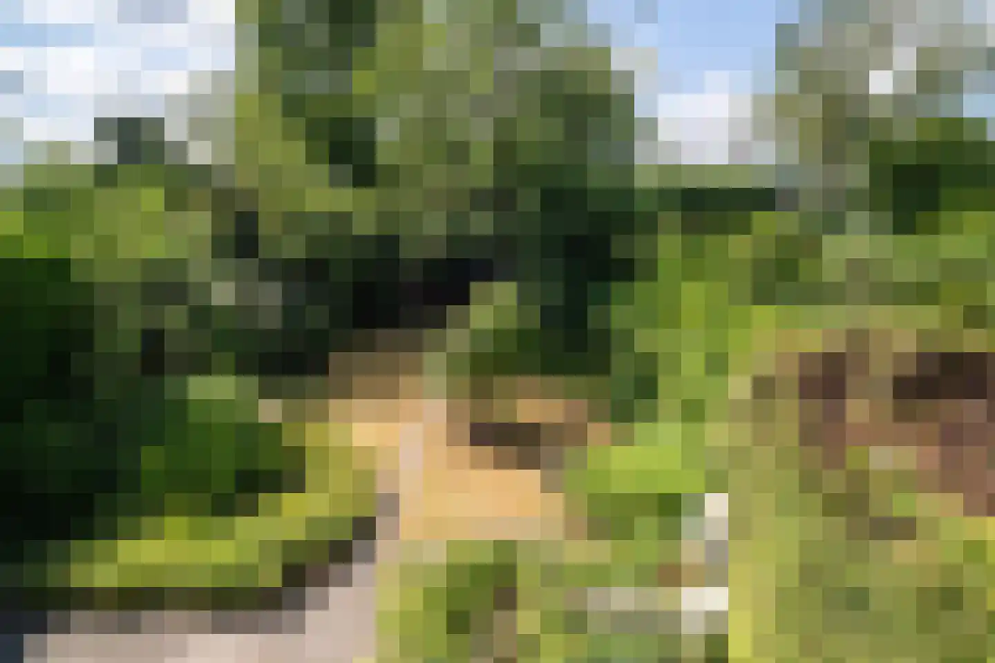 Heemraadschapslaan 45 Amstelveen thumbnail 35