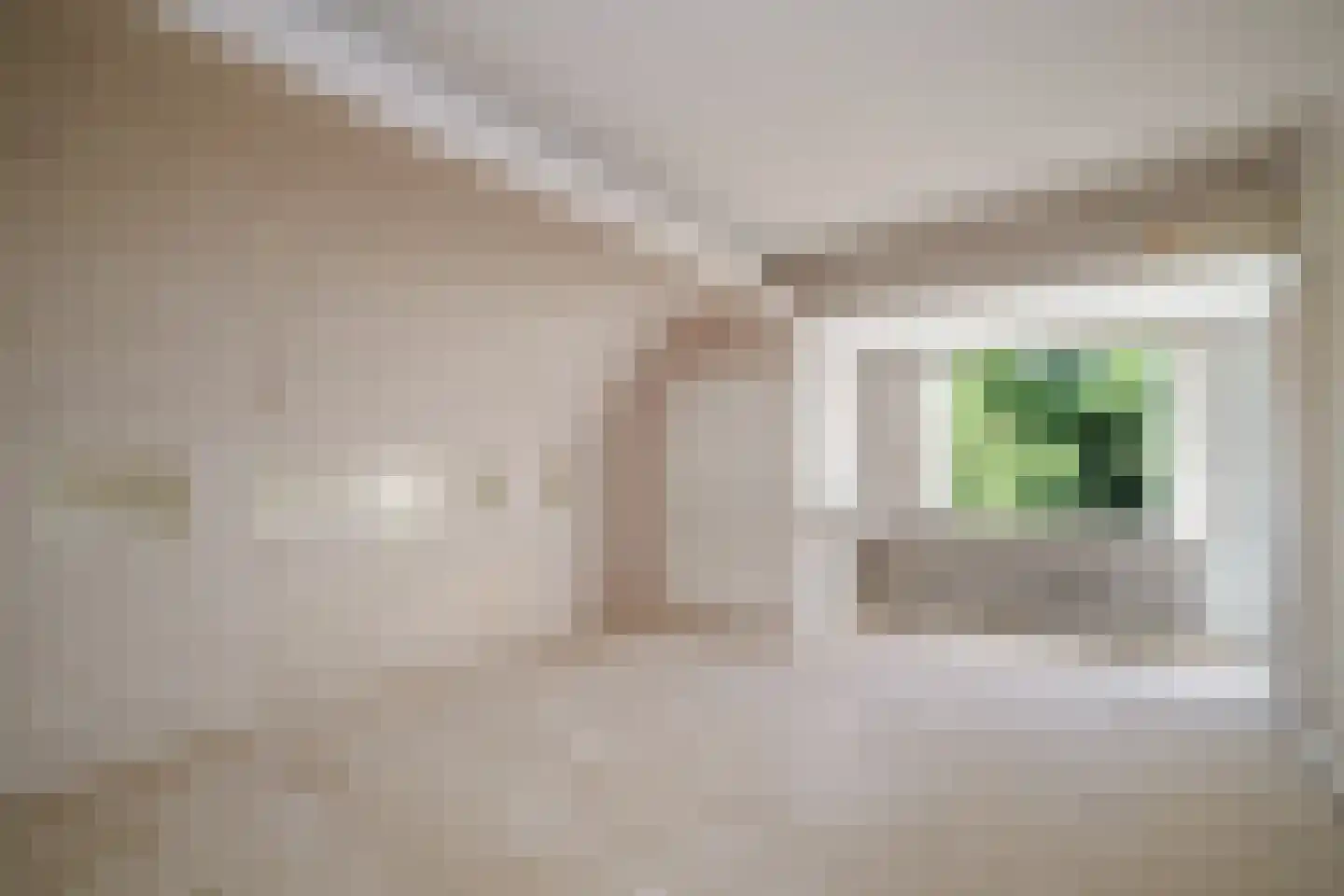 Heemraadschapslaan 45 Amstelveen thumbnail 38