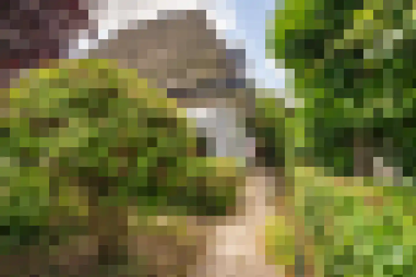 Heemraadschapslaan 45 Amstelveen thumbnail 6