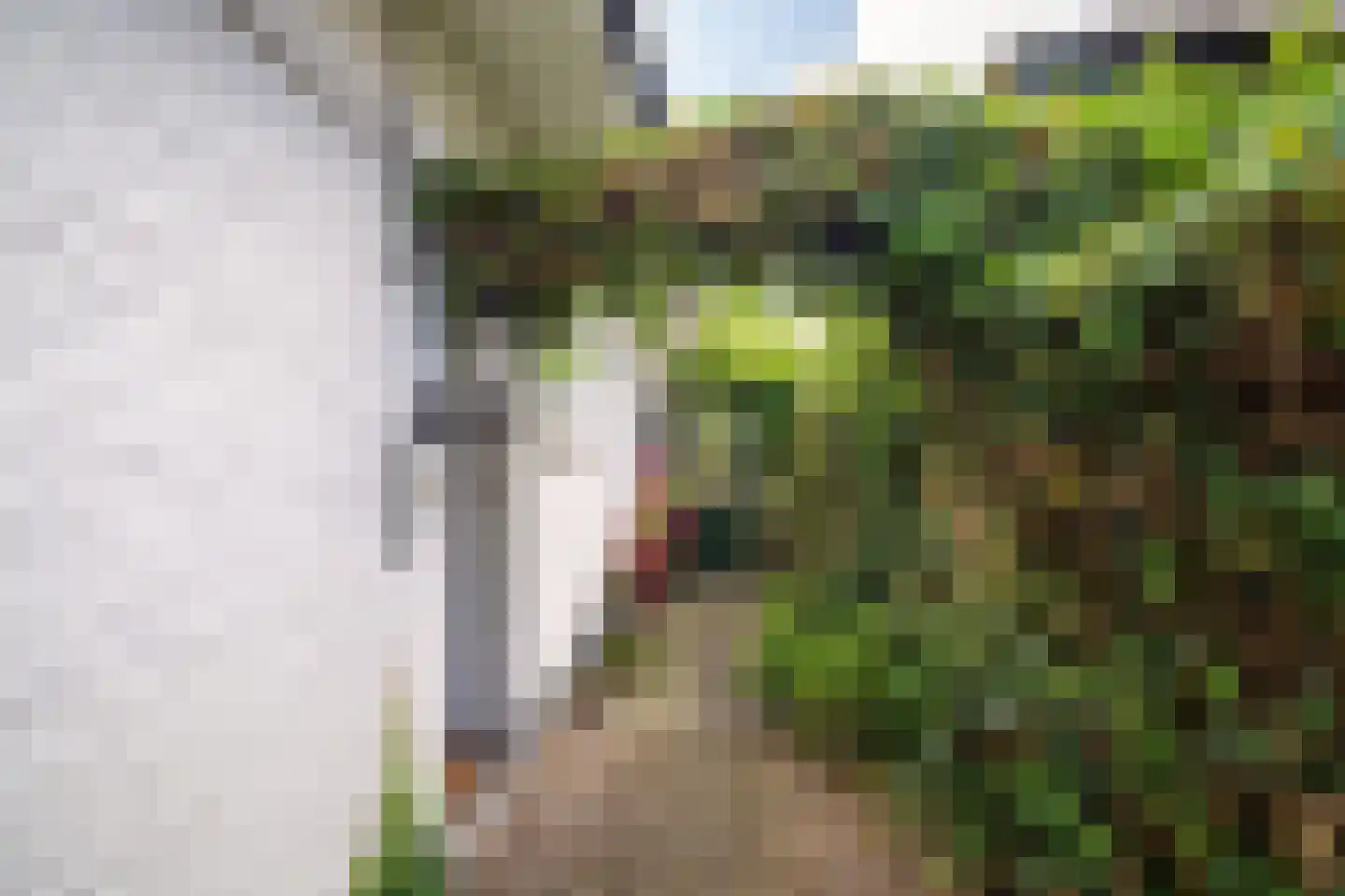 Heemraadschapslaan 45 Amstelveen thumbnail 7