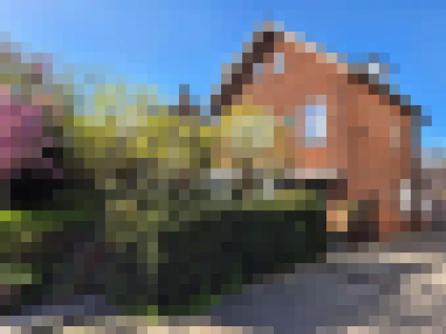 Heemraadschapslaan 94 in Amstelveen